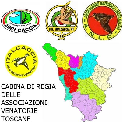 LOGO CABINA DI REGIA TOSCANA 1 min