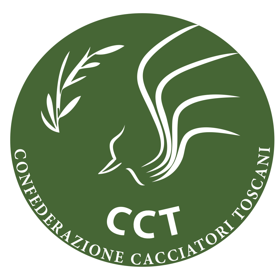 LOGO CCT