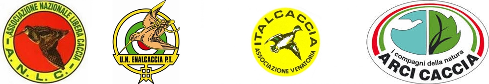 arcienalitallibera