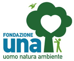 fondazione una