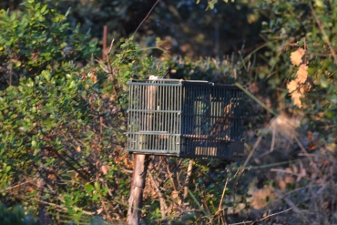 Trentino: in attesa della sentenza, i capannisti hanno ottenuto appostamenti più ampi