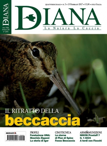 In Edicola Diana 3-2017