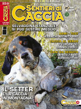 Sentieri di Caccia novembre 2019