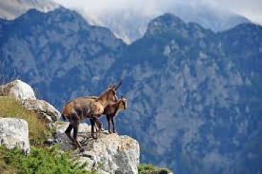 Val d&#039;Ossola: i cacciatori denunciano il &quot;canale trappola&quot;