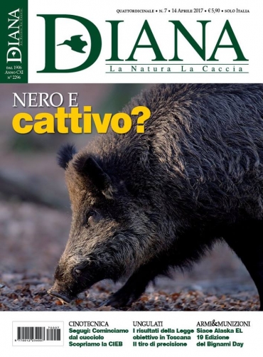 In Edicola Diana 7-2017