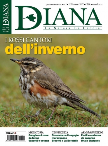 In Edicola Diana 1-2017