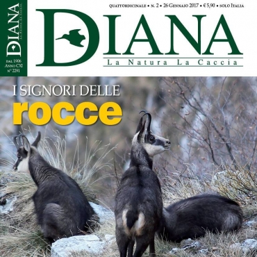 In Edicola Diana 2-2017