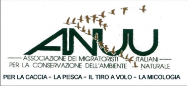 Anuu News: I TRANSAHARIANI TENGONO IL PASSO