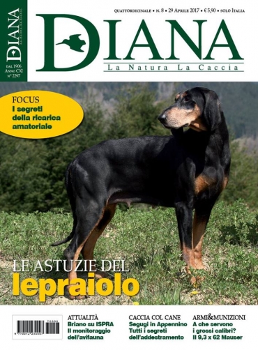 In Edicola Diana 8 - 2017