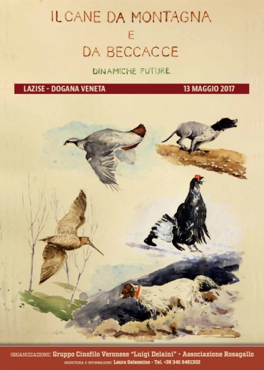 Veneto - Il 13 Maggio si svolgerà il Convegno “Il cane da montagna e da beccacce”
