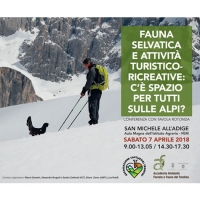 A TRENTO UNA CONFERENZA SU FAUNA SELVATICA E ATTIVITA´ TURISTICO RICREATIVE