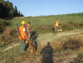 Toscana: pubblicati i risultati della discussa Legge Obbiettivo